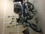 IMG_1244.jpg