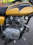 IMG_4864.jpg
