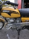 IMG_4868.jpg
