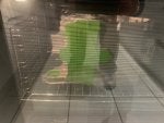 IMG_7408.jpeg