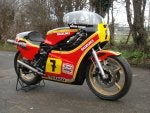 heron suzuki.jpg